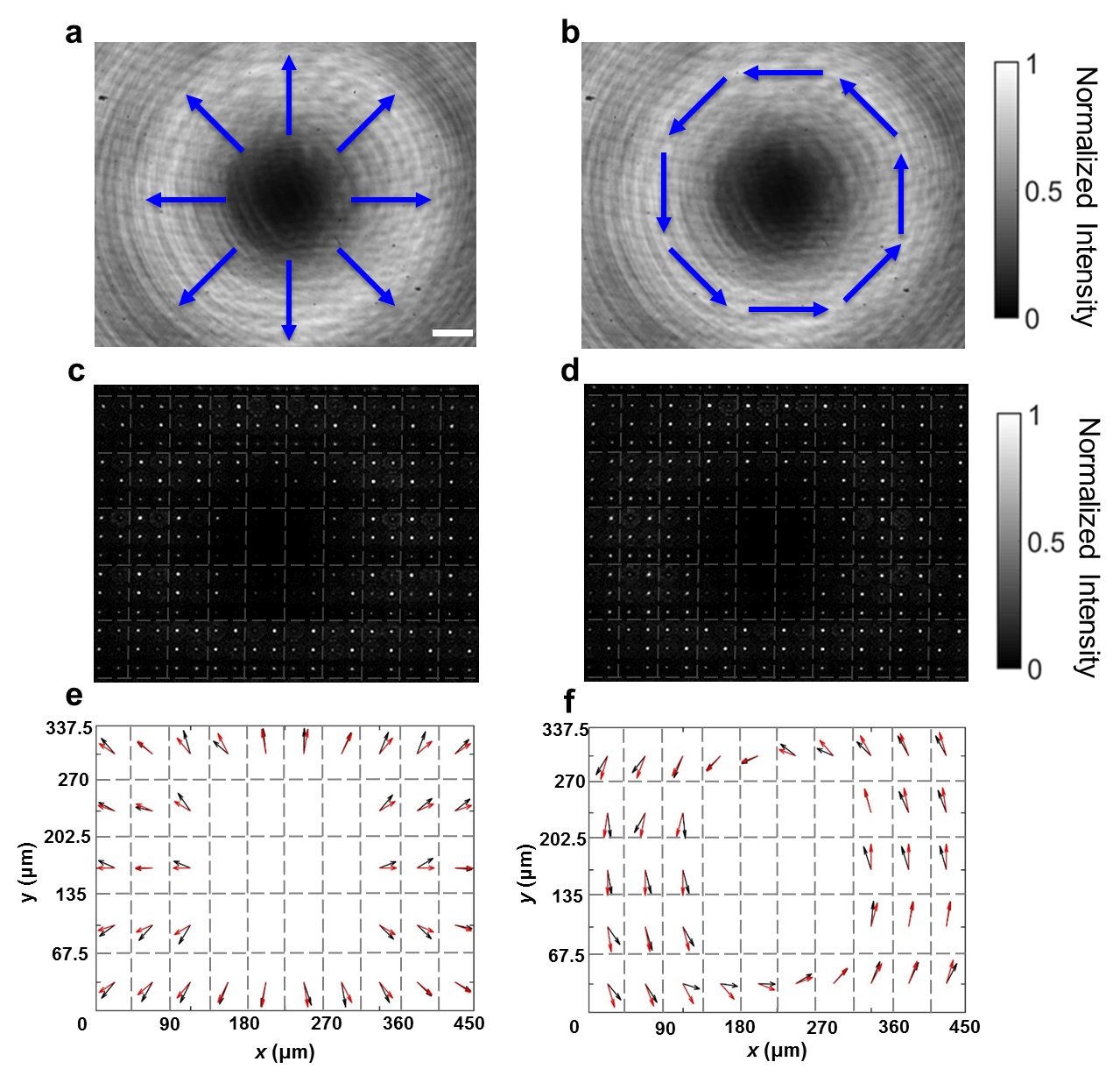 伟德国际唯一官网入口