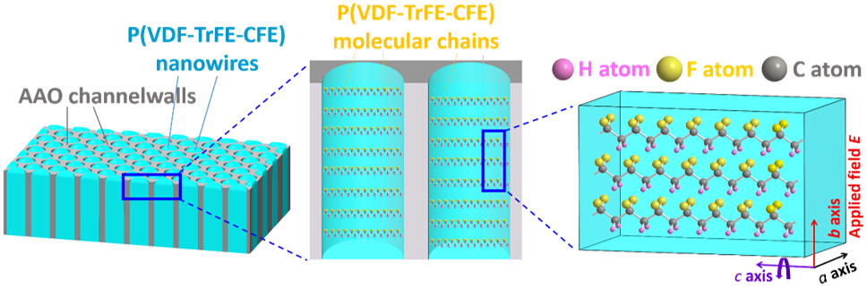 伟德国际唯一官网入口