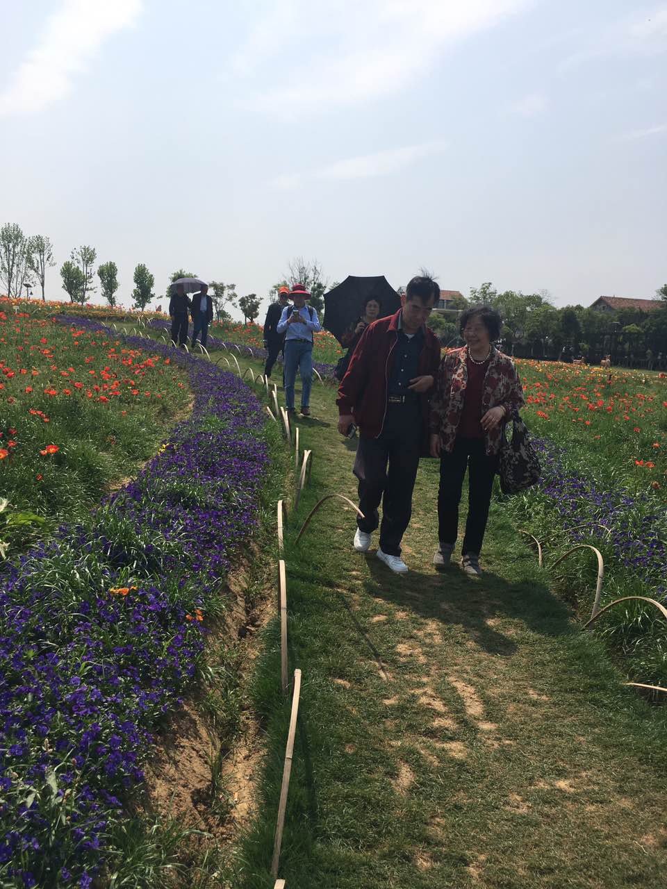 伟德国际唯一官网入口