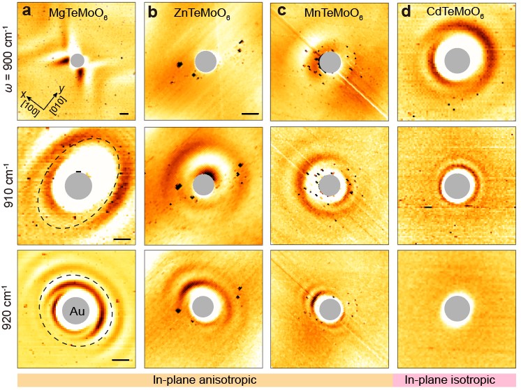 伟德国际唯一官网入口