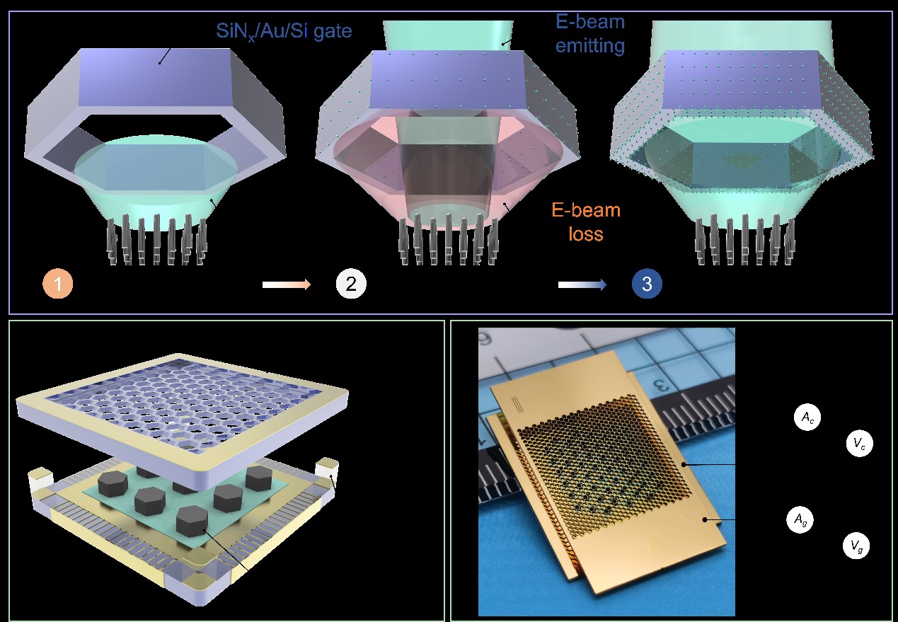 伟德国际唯一官网入口