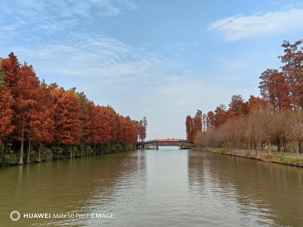 伟德国际唯一官网入口