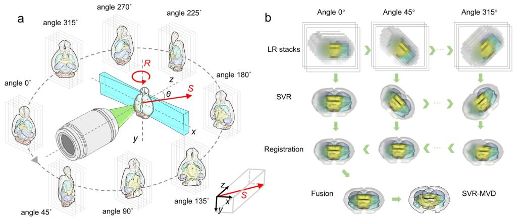 伟德国际唯一官网入口