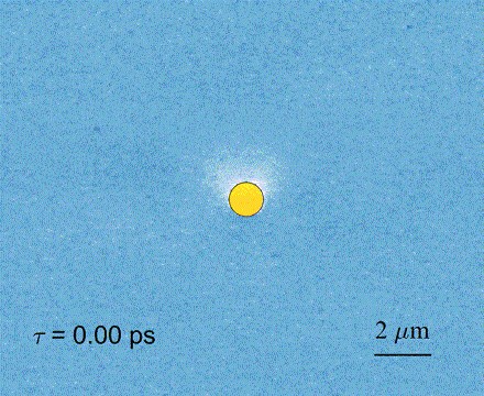 伟德国际唯一官网入口