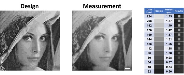 伟德国际唯一官网入口