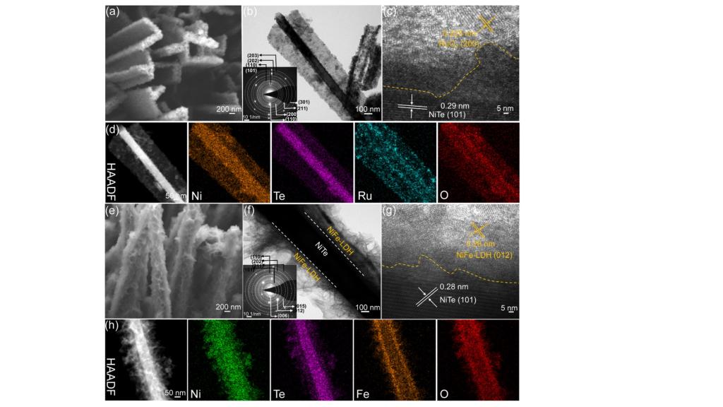 伟德国际唯一官网入口