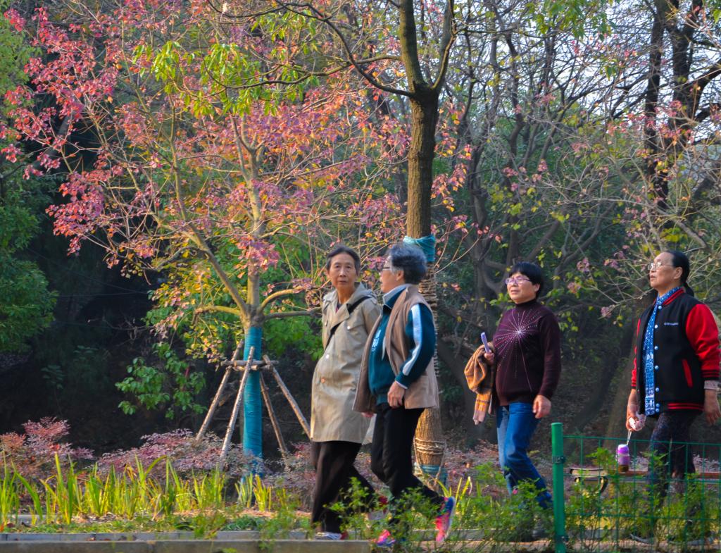 伟德国际唯一官网入口