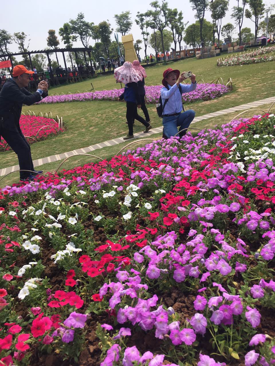 伟德国际唯一官网入口