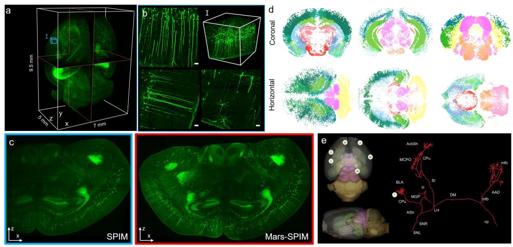 伟德国际唯一官网入口
