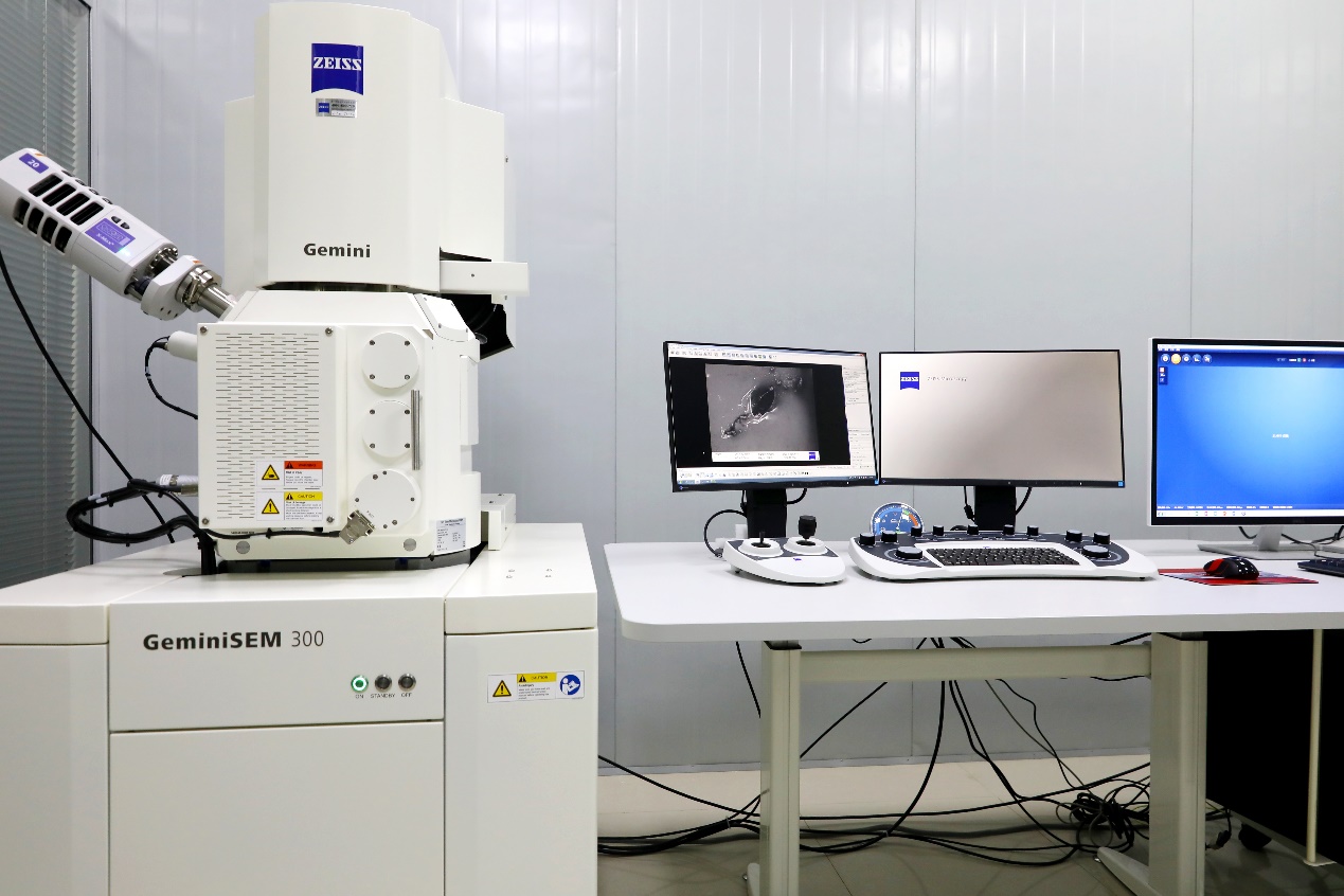 伟德国际唯一官网入口